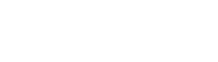ROC 4 Aging+ Logo